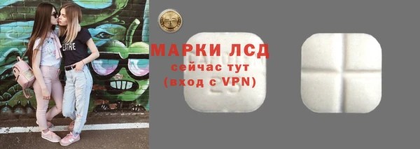 гашик Бежецк